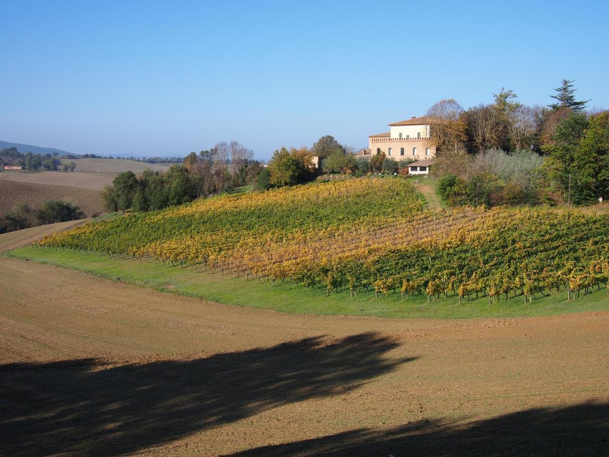 Agriturismo Poggiarellino - มอนตาลชิโน ภายนอก รูปภาพ