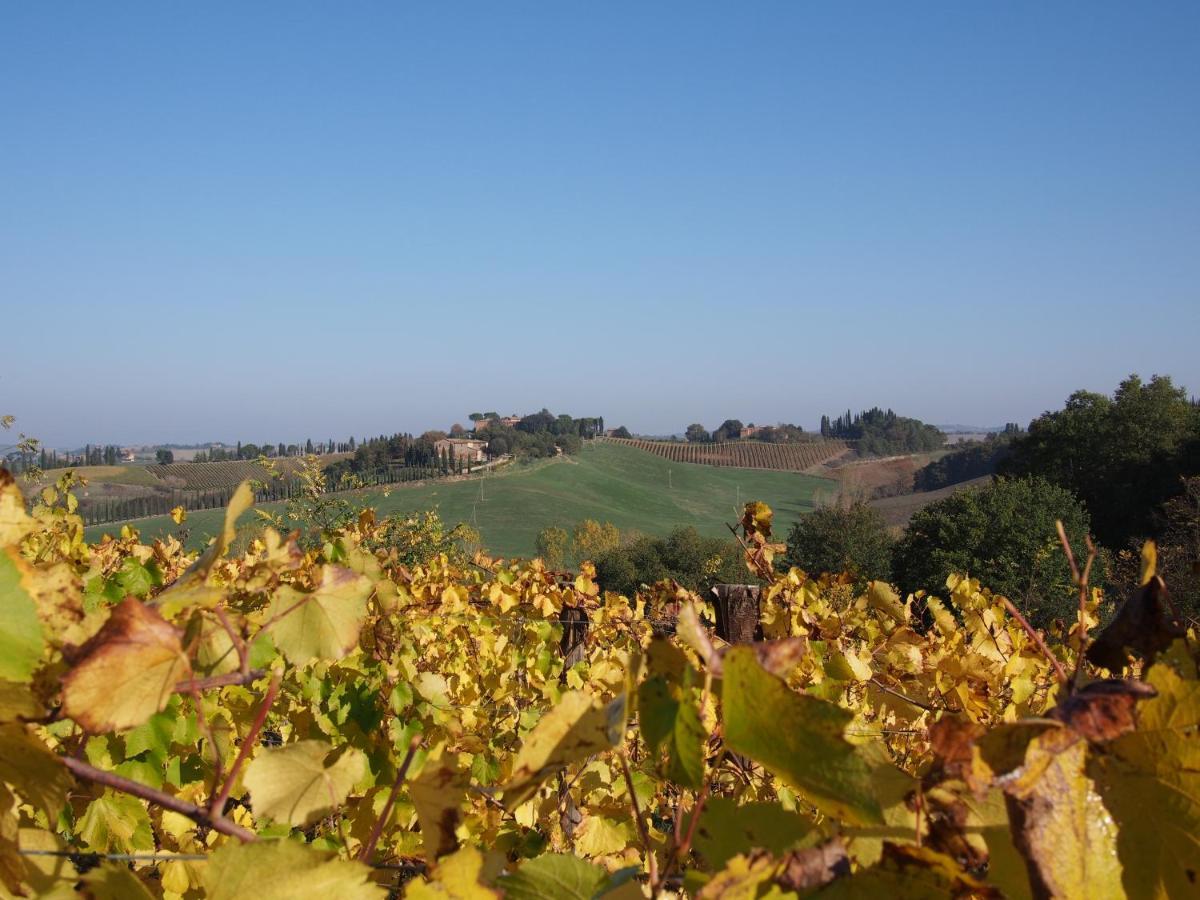 Agriturismo Poggiarellino - มอนตาลชิโน ภายนอก รูปภาพ