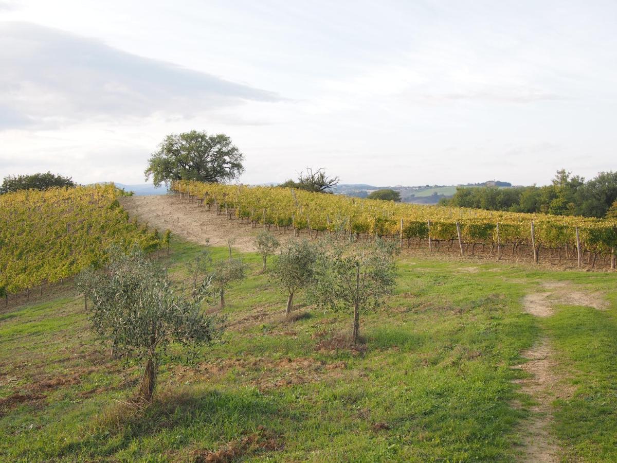 Agriturismo Poggiarellino - มอนตาลชิโน ภายนอก รูปภาพ